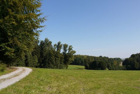 Ni2 - Parklandschaft