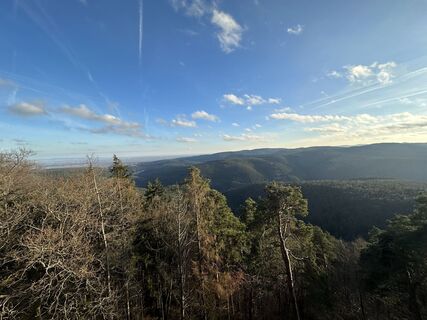 Foto von Fabian Kremer entlang der Tour