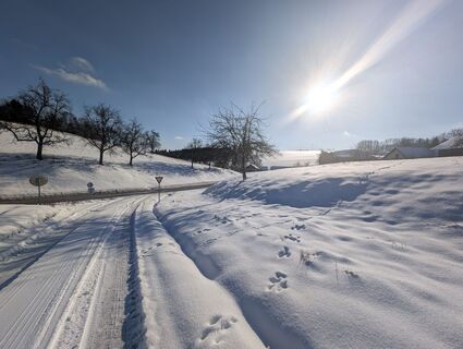 Photo de Stefan Bock le long du parcours