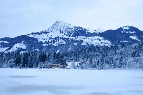 DSCF2052.jpg