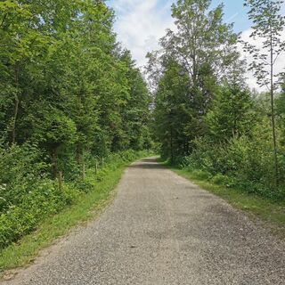 Weg am Bach entlang, in Richtung St. Coloman