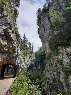 Photo de Sascha Hofbauer le long du parcours