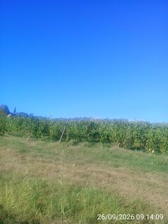 Photo de ale civ le long du parcours