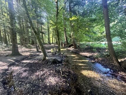 Foto von Mari On 2 entlang der Tour
