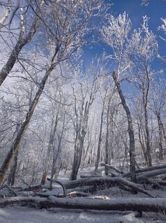 Foto von Mário plesnik entlang der Tour