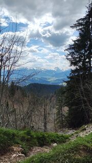 Photo de Monika Wolfshoefer le long du parcours