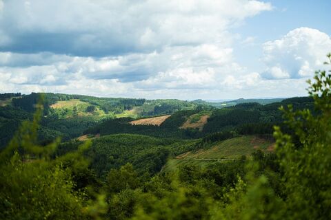 Blick vom Oberbecken in Richtung Wildewiese