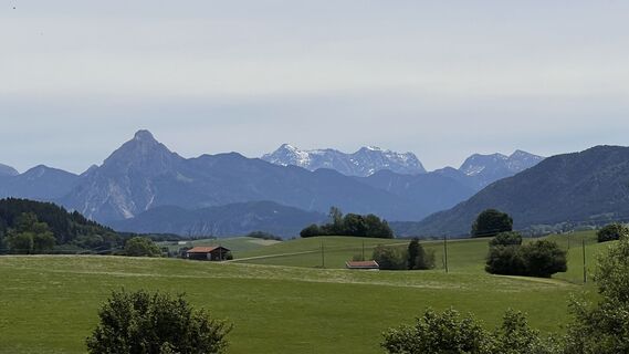 Foto de Heidi Müller 2 a lo largo del recorrido