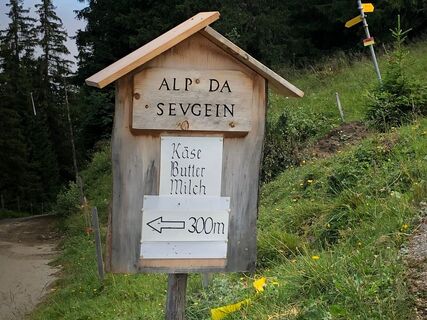 Abzweigung zur Alp da Sevgein bei Punkt 1786. Hier beginnt der trailige Teil der Strecke