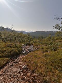 Fotografija s spletne strani Sonce.S na poti