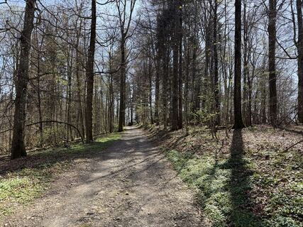 Photo de Jelena Kuehn le long du parcours