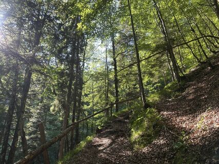 Fotografija s spletne strani Martin na poti