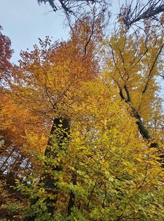 Fotografie de la ElkeA de-a lungul turului