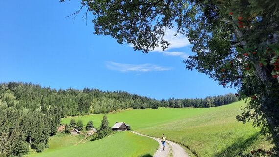 Aussichtsreich, im Hintergrund vlg. Hirkl