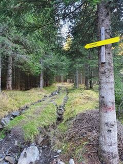Bruderkogel-Pölstal-Murtal-Steiermark c Martin Muhrer_BergfexMartin (3).jpg
