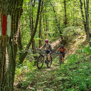 Ceneri Fahrrad