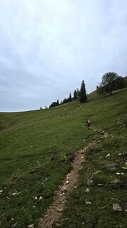 Fotografia z se_muck na trase