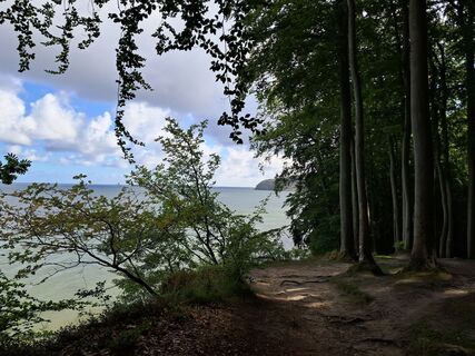 Foto von Billharz Wilhelm entlang der Tour