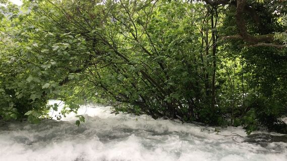 Foto von Lomalinda entlang der Tour