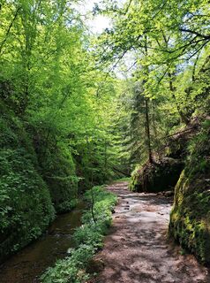Foto von Steffen Pydde entlang der Tour