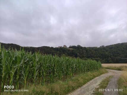 Foto von Edit Szoboszlay entlang der Tour