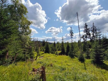 Blick nach Osten zum Almberg