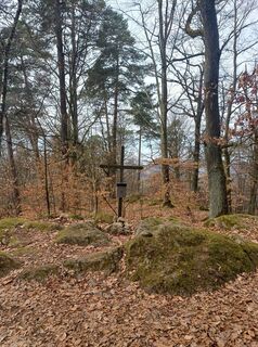 Foto von Andrea Rothbauer entlang der Tour