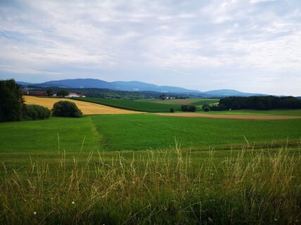 Foto från roxana62 under resans gång