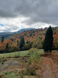 Fotografia z Daniel Kremiec na trase