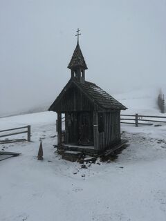 Photo de Schabsi le long du parcours