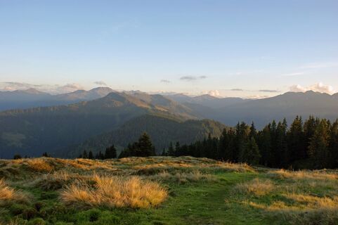 Auf dem Weg zur Horler Stiege