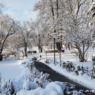 Schloßpark im Winter in der Oststeiermark