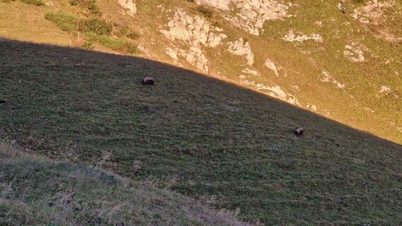 Foto från EP87 under resans gång