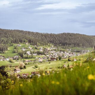 Zemljevid
