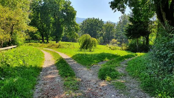 5.5 km Rechts in Karrenweg nach Hartelsberg