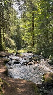 Foto von Sitti entlang der Tour