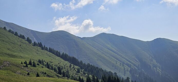 Photo de Daniel Wohlmuth le long du parcours