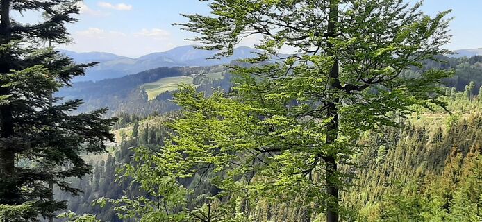 Fotografija s spletne strani Marianne na poti