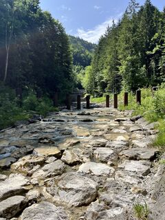 Fotografie de la Dennis Buchmeier de-a lungul turului