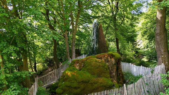 Wasserbaum Ockensen