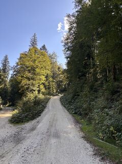 Foto von Heinz Sperl entlang der Tour
