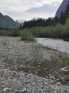 Zdjęcie z Waldläufer wzdłuż trasy