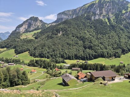 Fotografie z alinradu na trase