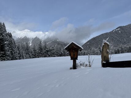 Photo de Grizzli le long du parcours