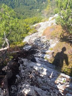Foto de Meli a lo largo del recorrido