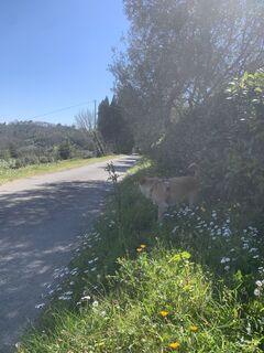 Photo de Andrea Morotti le long du parcours
