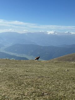 Foto von ChasquiRunner entlang der Tour