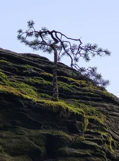 Foto de shac a lo largo del recorrido