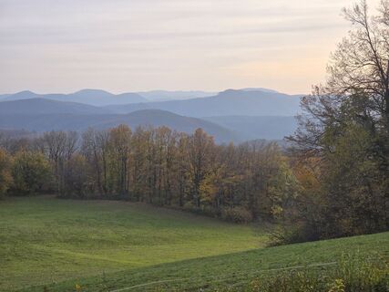 Fotografia z TwilightTea na trase