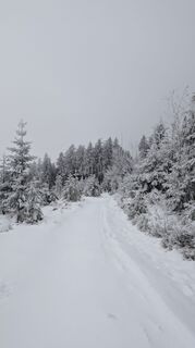 Foto von Stubi entlang der Tour